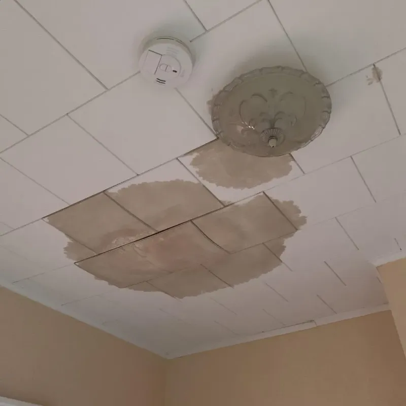 Ceiling Water Damage Repair in Piqua, OH
