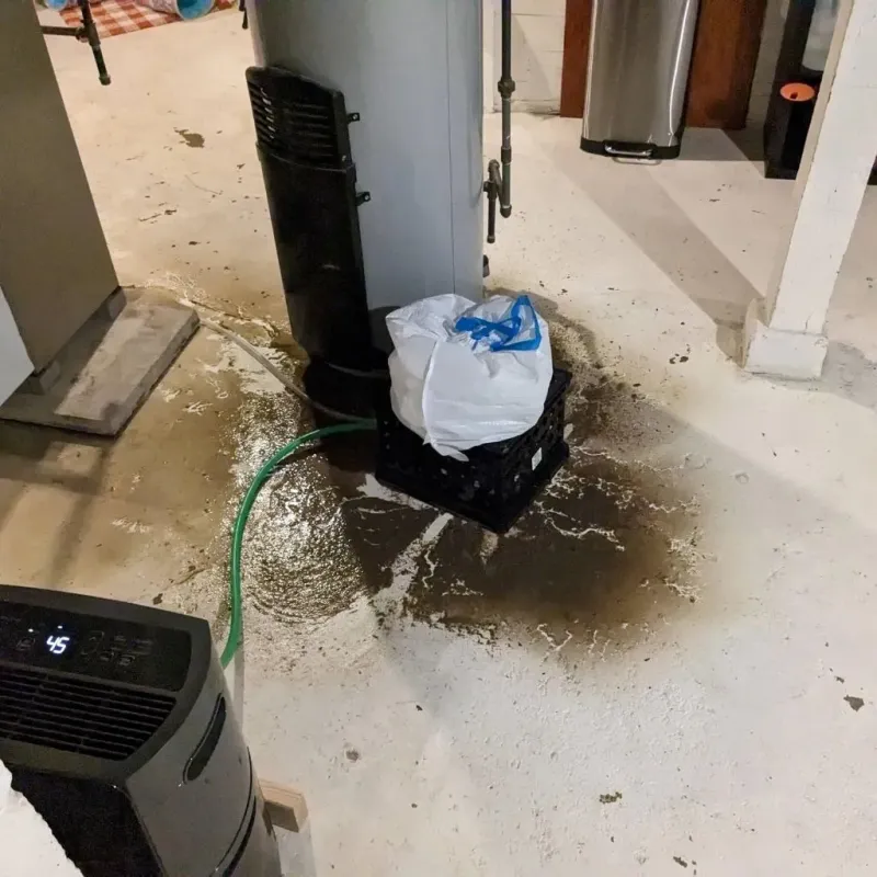 Sewage Backup Cleanup Service in Piqua, OH